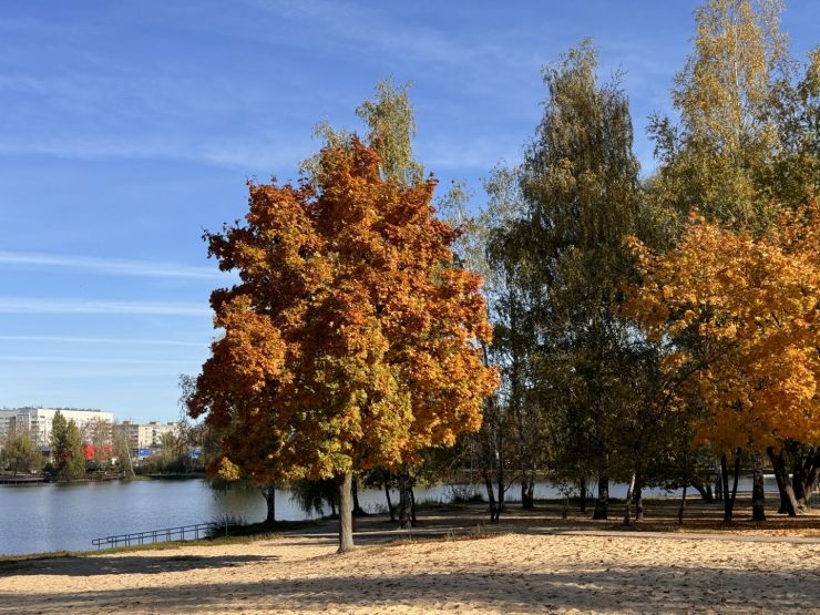 Фото: СЗ «ЖБС-Проект»