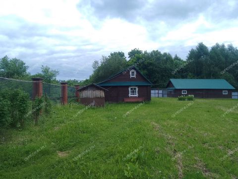 selo-dudenevo-bogorodskiy-municipalnyy-okrug фото
