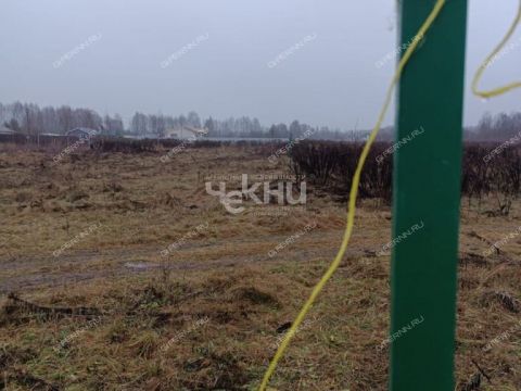 derevnya-gumnishhi-balahninskiy-municipalnyy-okrug фото