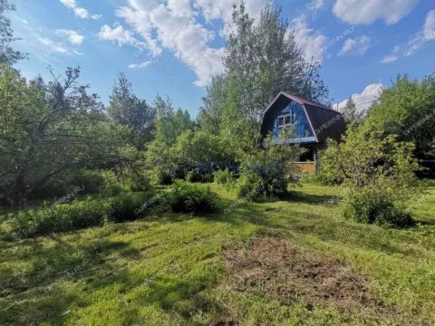 dacha-gorod-bor-gorodskoy-okrug-bor фото